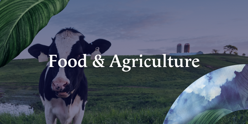 FOOD & AGRICULTURE