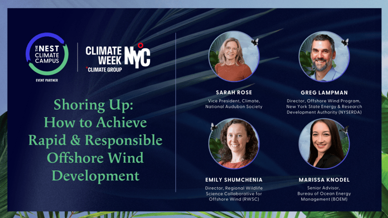 Shoring Up: How to Achieve Rapid & Responsible Offshore Wind Development