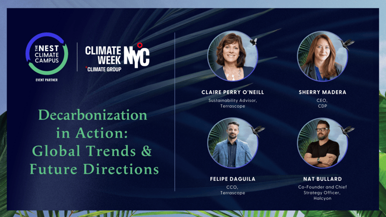 Decarbonization in Action: Global Trends & Future Directions