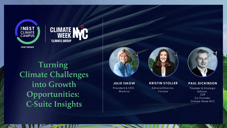 Turning Climate Challenges into Growth_ C-Suite Insights
