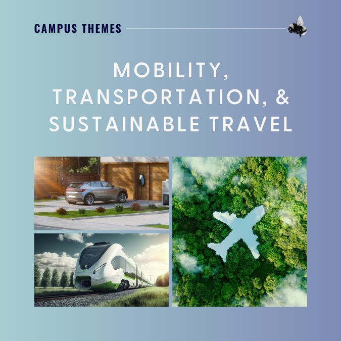 Mobility, Transportation, and Sustainable Travel