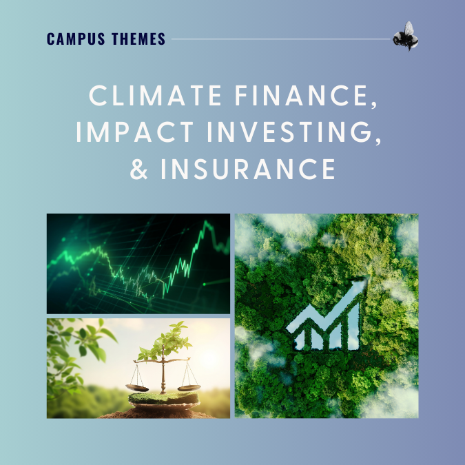 Impact Investing, Insurance, and Climate Finance